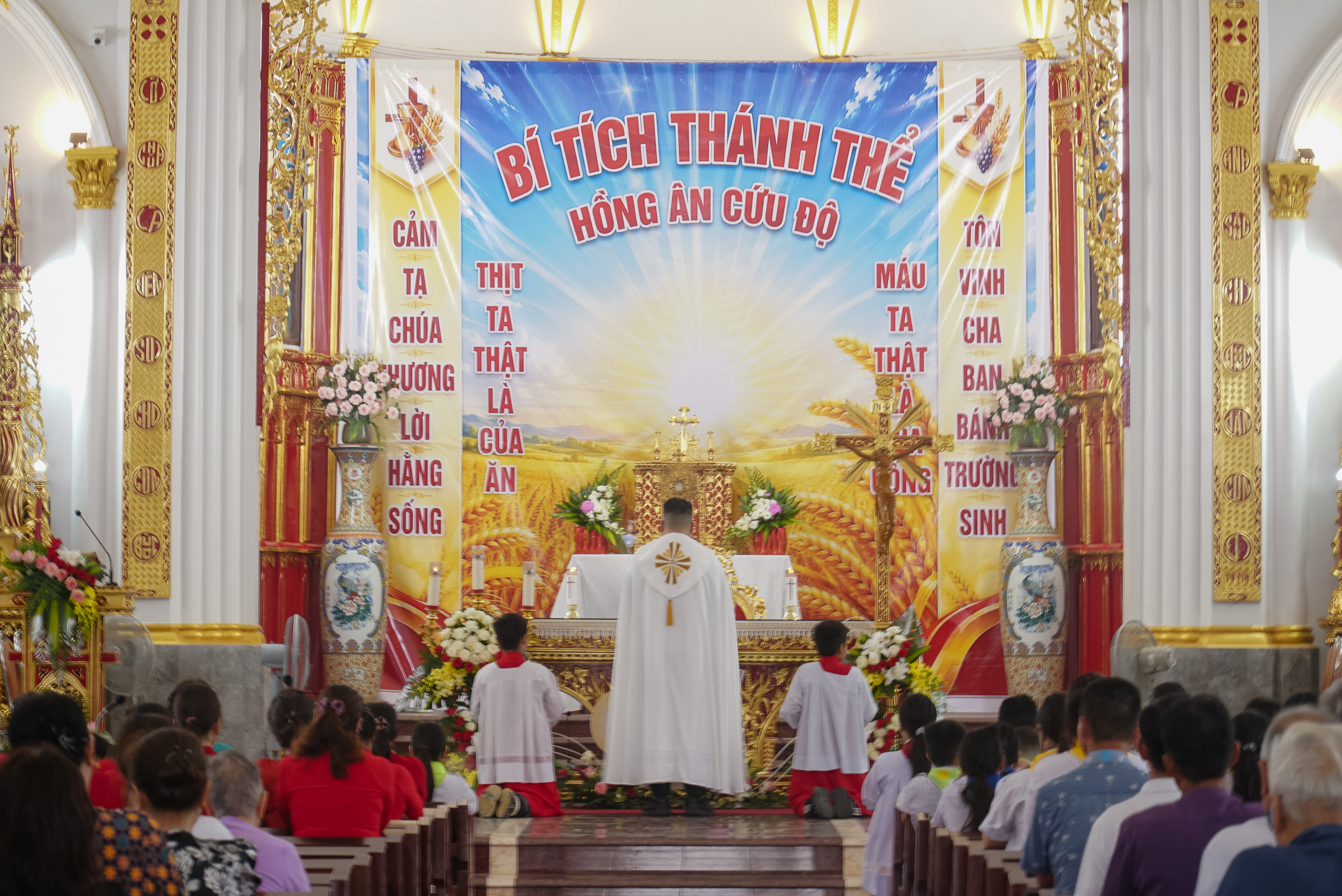 Photo-1